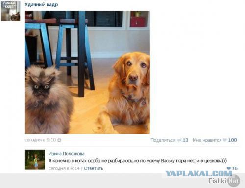 Ужасы и приколы из соцсетей