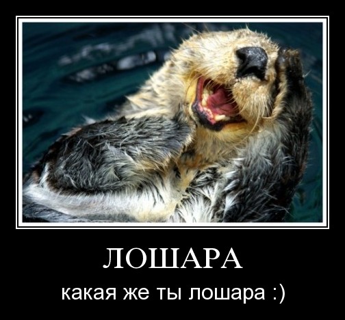 Губит людей не пиво, губит людей пи* да