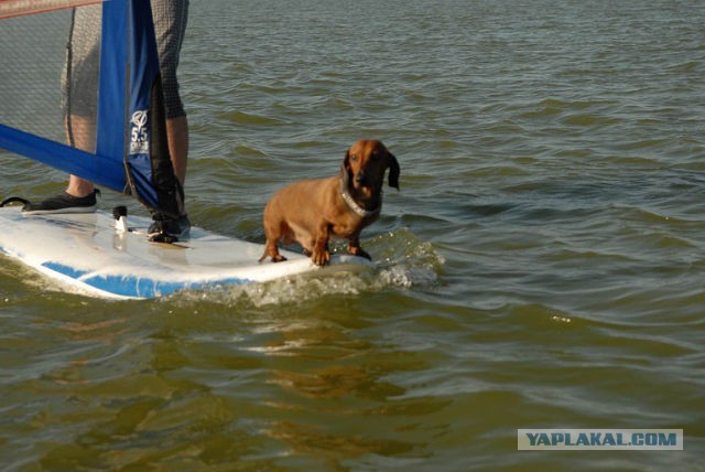 Памяти ушедшего рано Друга