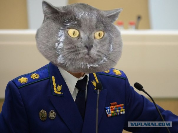 В Москве полковник антикоррупционного отдела МВД получил шесть лет колонии за вымогательство 500 тысяч долларов