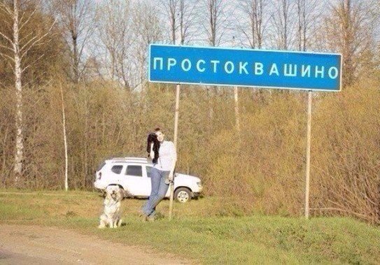 Подборка интересных и веселых картинок