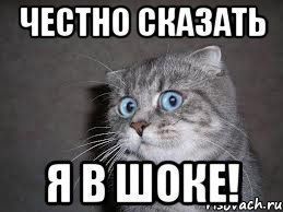 Норвежский прогноз погоды