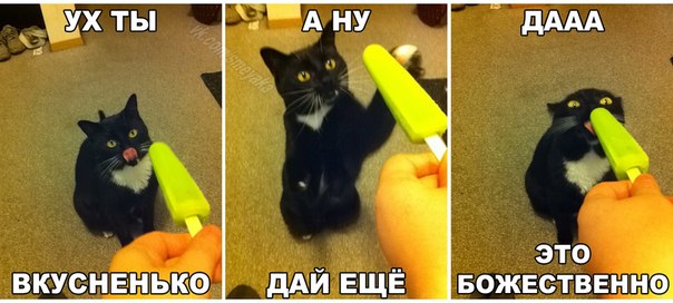 Соцсети - и смех и грех