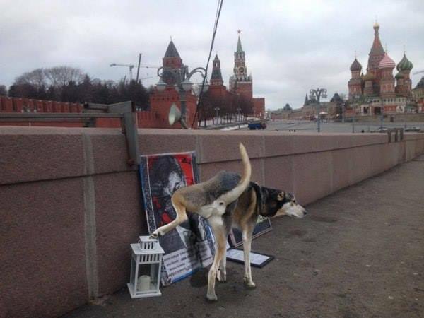 Подборка картинок из сети