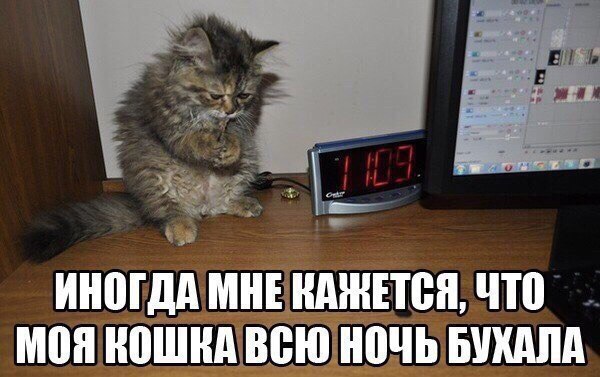 Шушуть октябрьских картинок