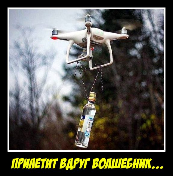 Подборка интересных и веселых картинок