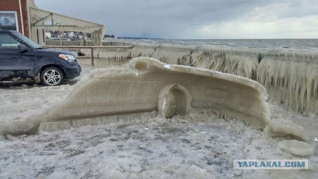 Как мороз превращает автомобили в предметы искусства