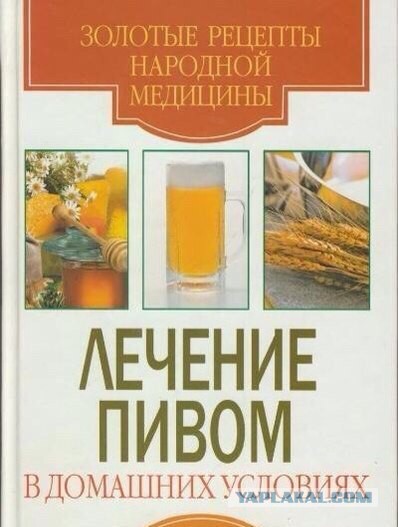 Почему нужно пить пиво: ученые признали его самым полезным в мире напитком!