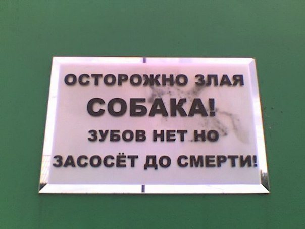 Мама спасла свою семью, сделав минет вооруженному налетчику