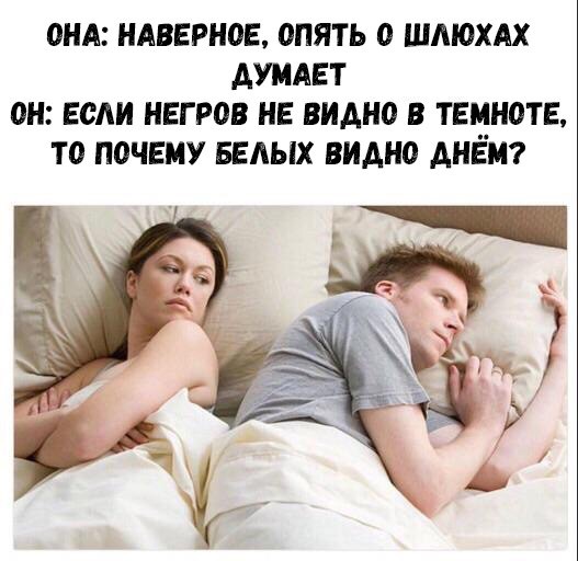 Скотсети и прочие интернеты
