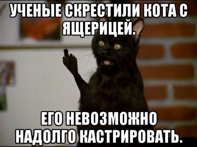 Просто картинки