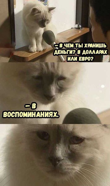 Нестандартный юмор