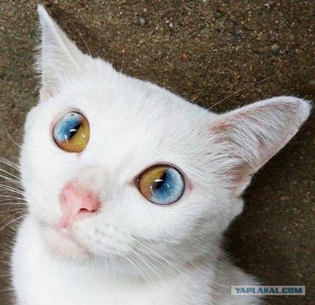 Фотографии, которые заставят вас удивиться