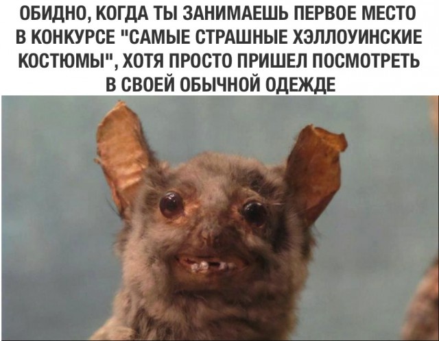 Лучший костюм на Хэллоуин