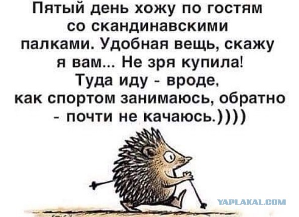 Мужское похмелье vs женское