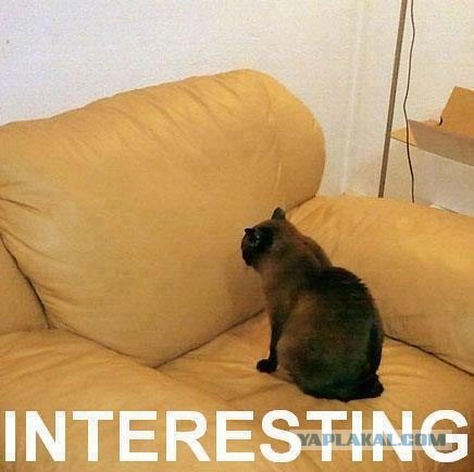 План провалился :)