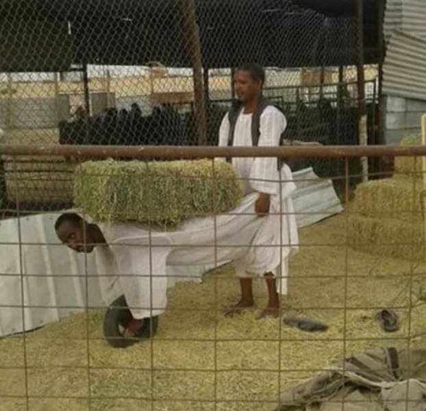 Набор разных картинок 17/10