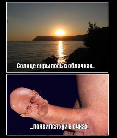 Россияне назвали самую бесполезную бытовую технику