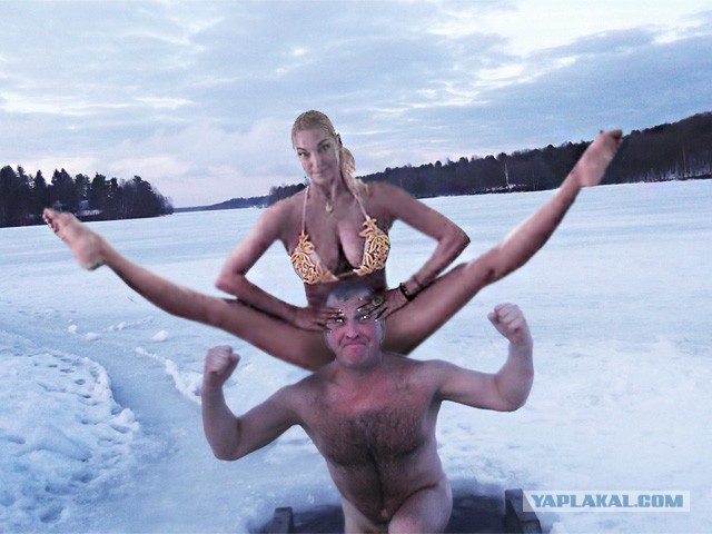 Голый морж