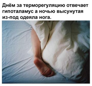 Бредзона 23.05.20