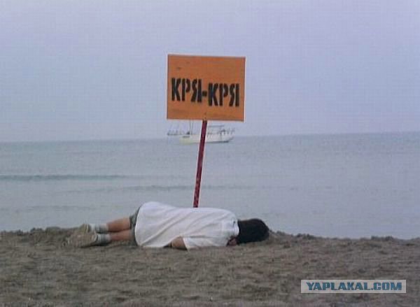 Фотожаба: КРЯ-КРЯ!