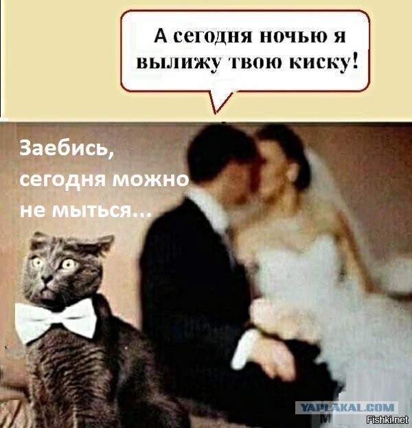 Чепуха на четверг 1.1