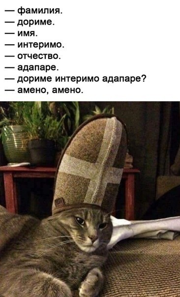 Картинки с надписями и всякие жизненные фразы
