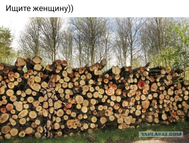 Бредзона 05.12.20