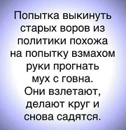 Бредзона 15.12.20