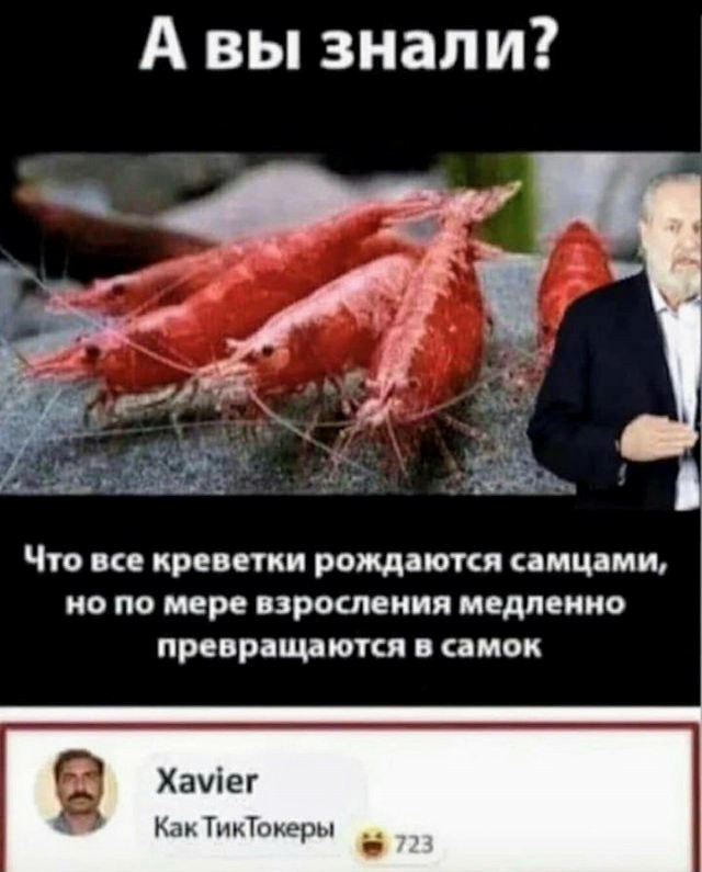 Картинки с надписями и всякие жизненные фразы 14.1.21