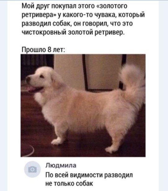Картинки и мемы для настроения 02.02.2021
