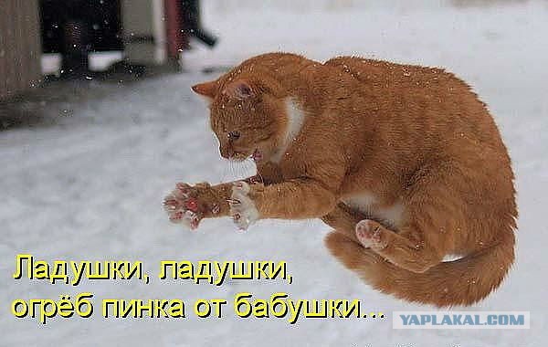Всякие разные картинки 16.03.21