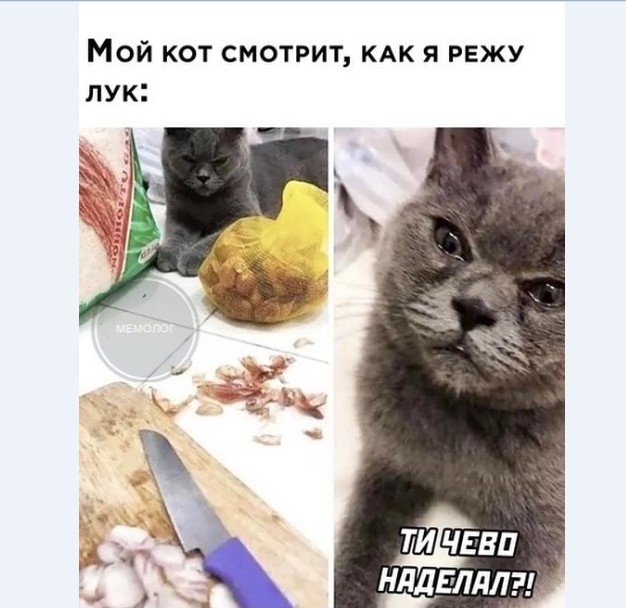Картинки и мемы для настроения 017