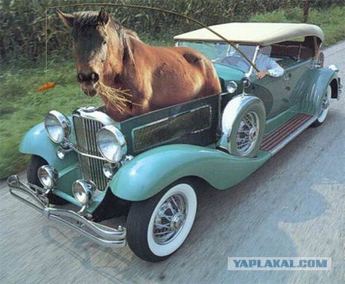 Одна лошадиная сила