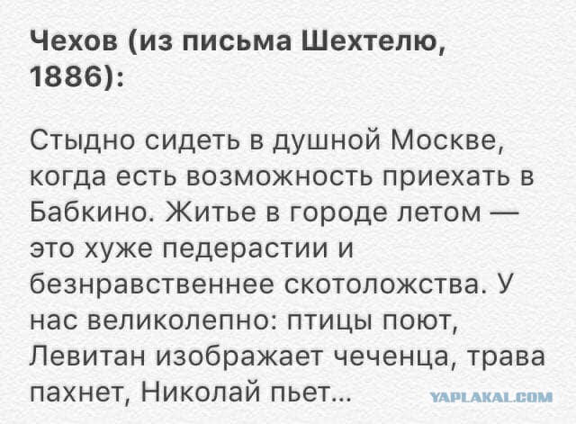Жизнь трезвого холостяка
