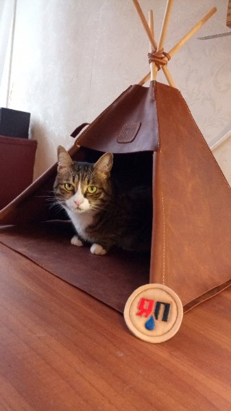 Кошкин дом