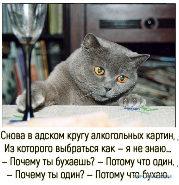 Картинки и мемы 08.10.2021