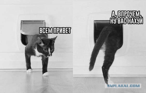 Стас Пьеха захотел изменить институт брака