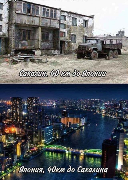Весёлый полтишок 19.11.2021