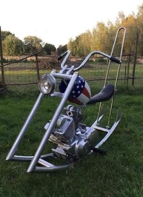 Всяческие картинки 19.11.2021