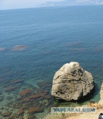 Летние красоты мыса Тарханкут