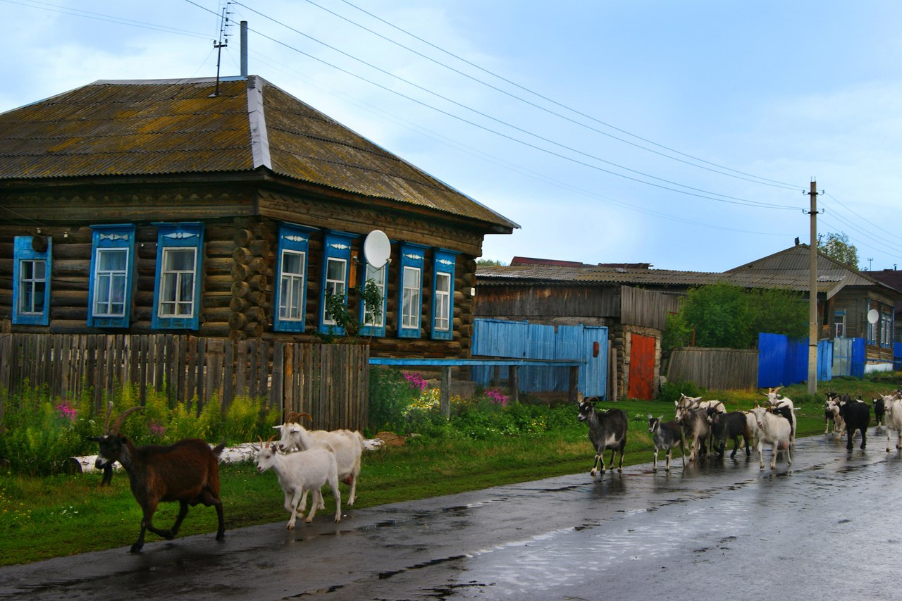 Summer in a Russian Village