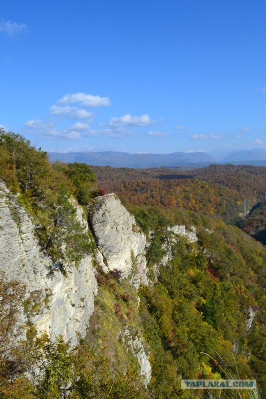 Лазаревское