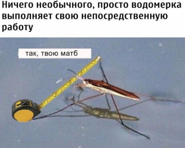 Картинки 04.07.22