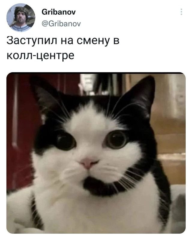 Немного картинок для настроения - 135