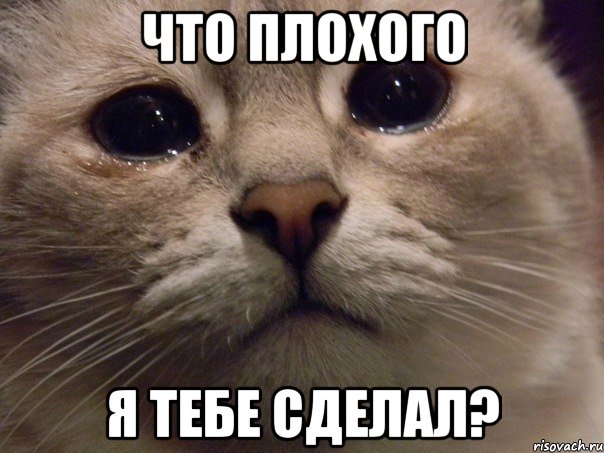 В России хотят принять единый закон о тишине: согласно закону, нельзя будет шуметь с 22:00 до 07:00