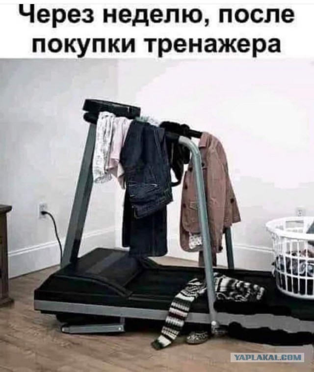 Картинки и мемы, всяко - 169