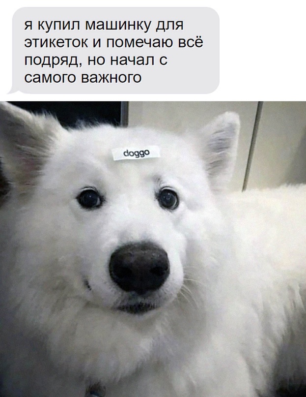 Картинки и мемы для настроения - 187
