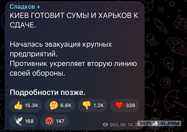 "У нас ошеломляющие результаты. За то, что я сейчас скажу, я отвечаю!" - военкор ВГТРК Сладков