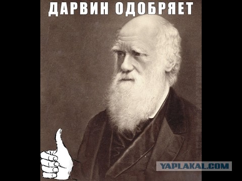 В Хабаровске студенты-неформалы сбросились с 14 этажа вслед друг за другом